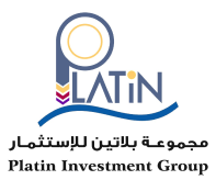 Platin website preview